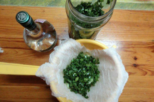 kolanchoe tincture and vodka